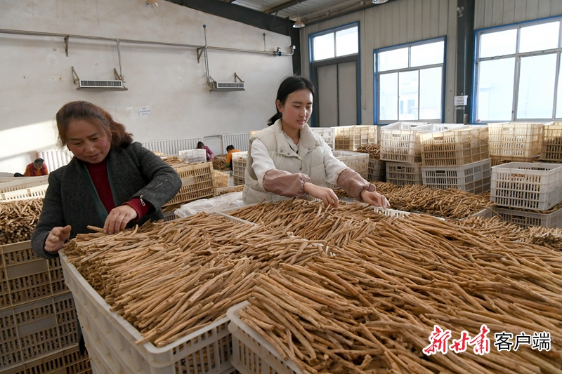 药企规模化收购存储道地药材