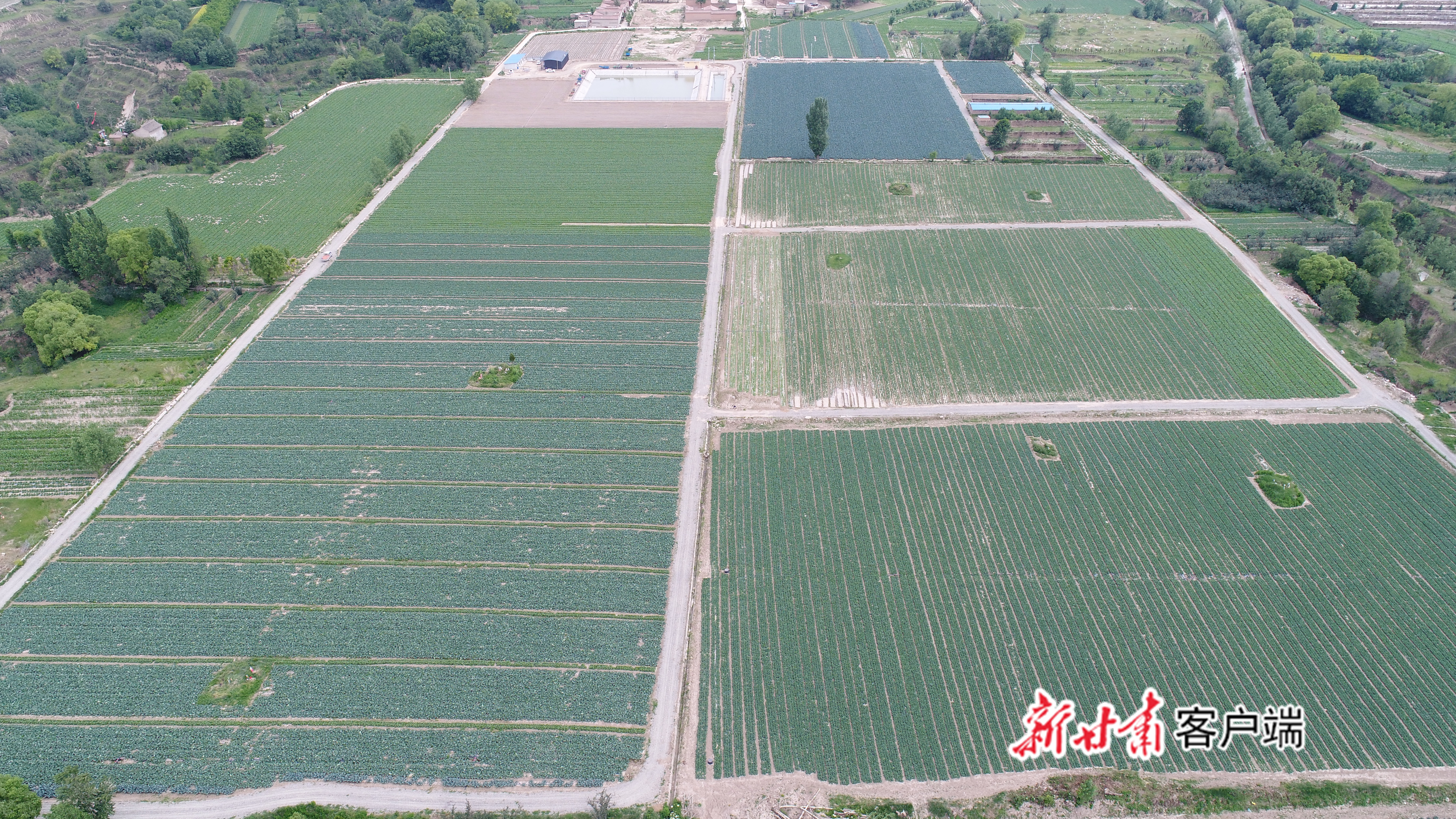 临夏县刁祁镇兰达村高标准农田