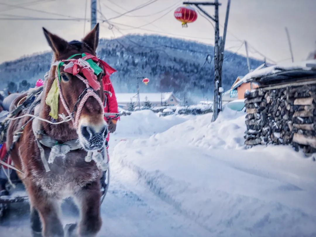 乘坐雪国列车，去漠河找北，挑战极寒！