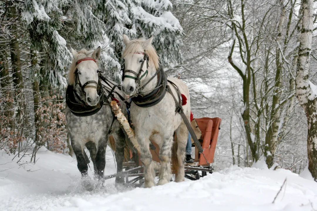 乘坐雪国列车，去漠河找北，挑战极寒！