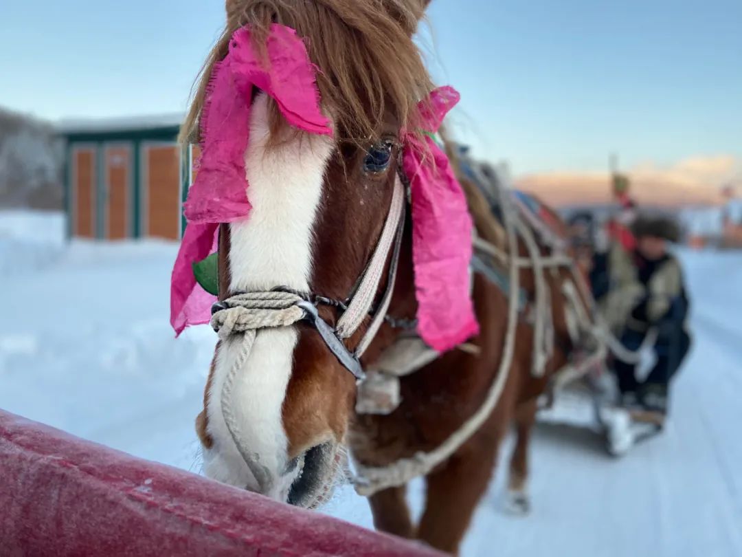 乘坐雪国列车，去漠河找北，挑战极寒！