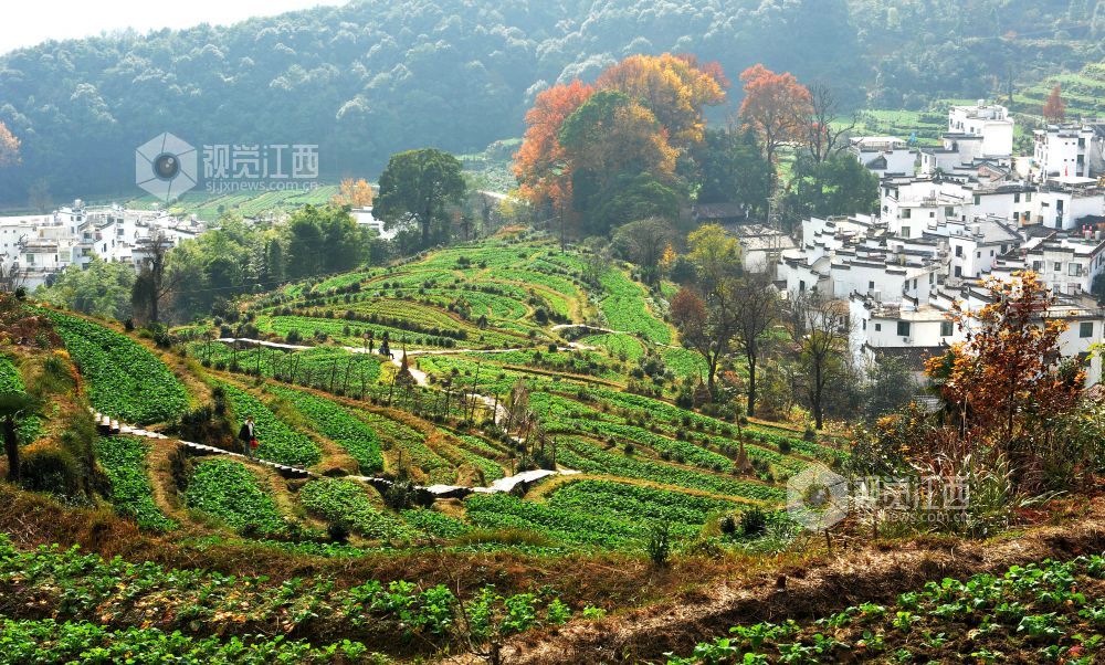 枫溪区枫一村人口多_梅林一村十三区平面图(3)