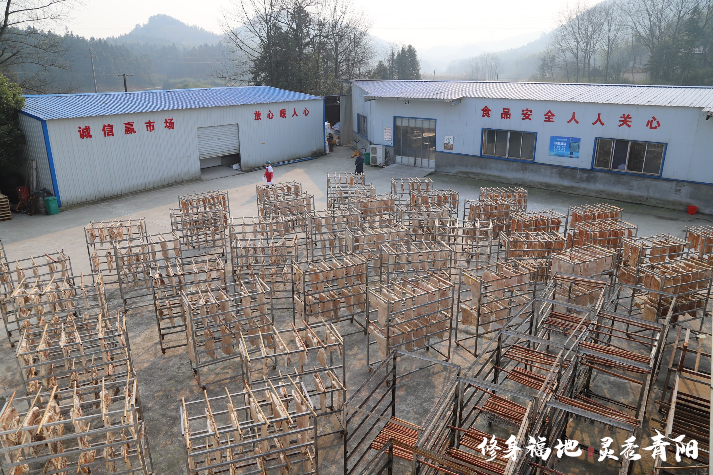 安徽九芙蓉农林生态开发有限公司扶贫车间
