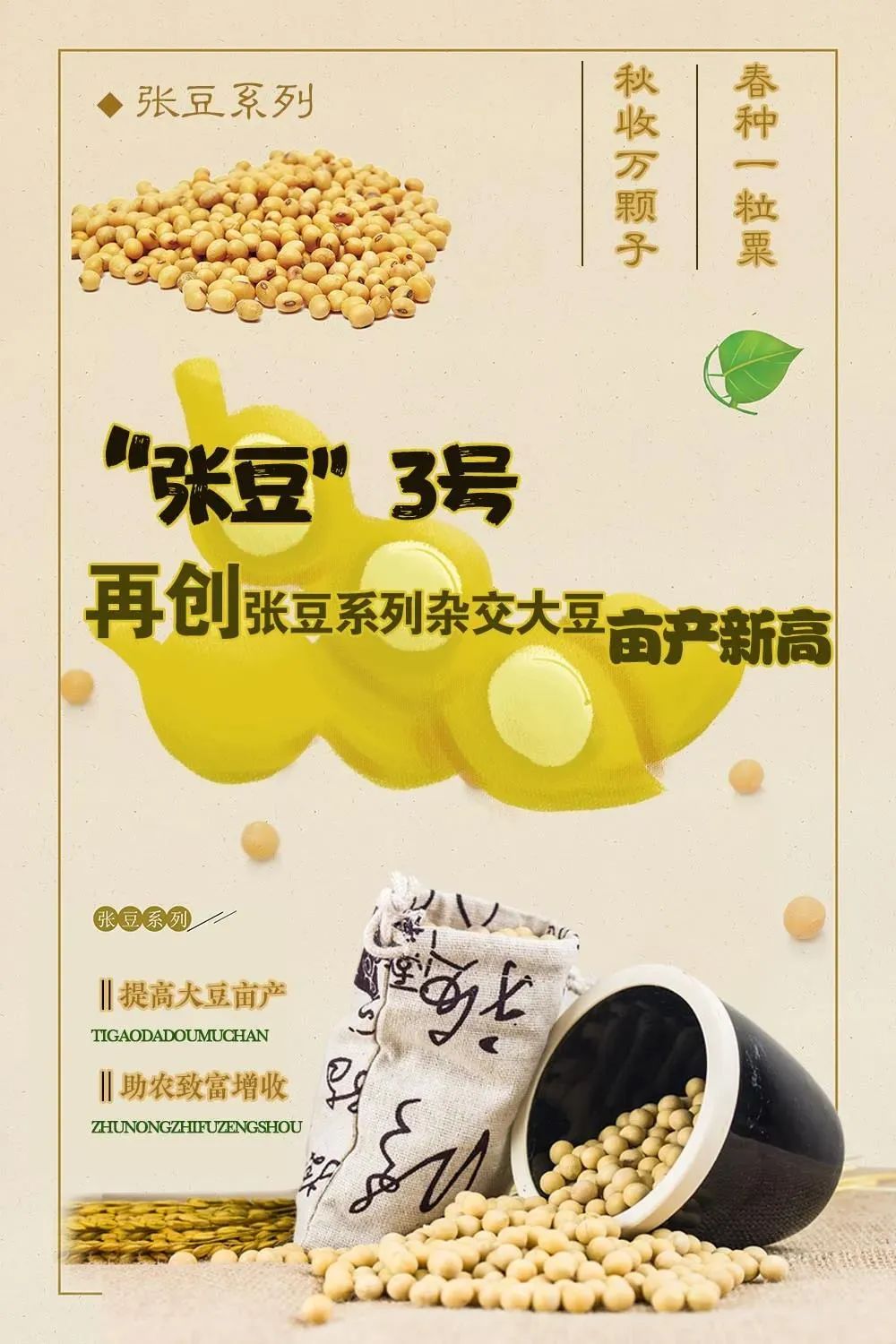 "杂交大豆之父"深耕张掖27载 一次次刷新全国亩产纪录