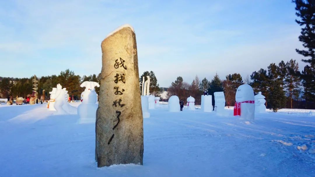 乘坐雪国列车，去漠河找北，挑战极寒！