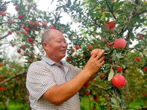 红土镇肖家堡村王新全