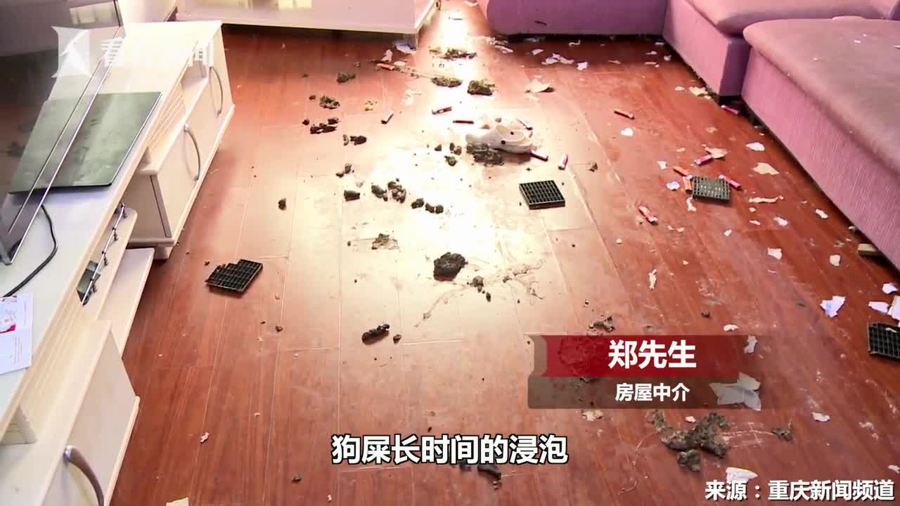 满屋狗屎遍地垃圾 女租客留下一地狼藉偷偷离开