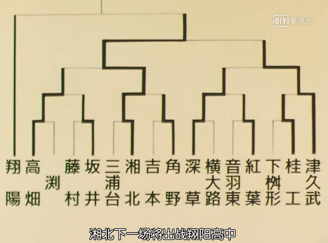 种子队只有一场预赛