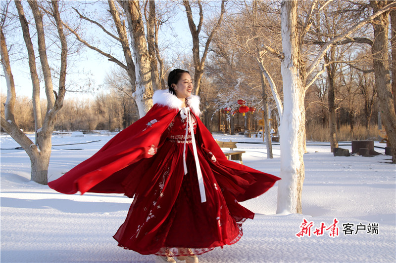 茫茫冰雪与冬日胡杨相映成趣