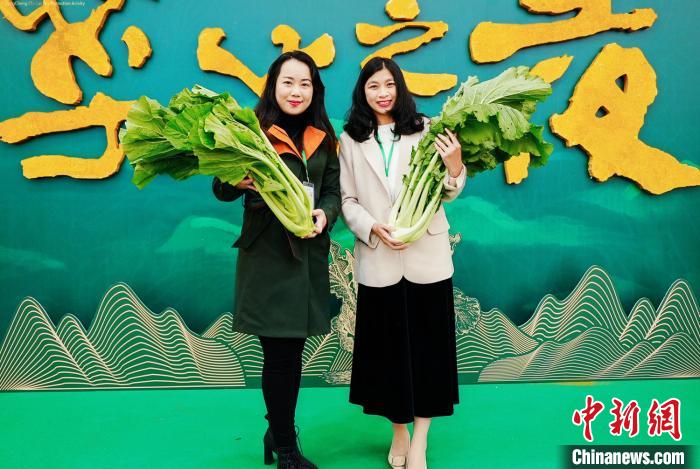 市民与增城迟菜心合影。 程景伟 摄
