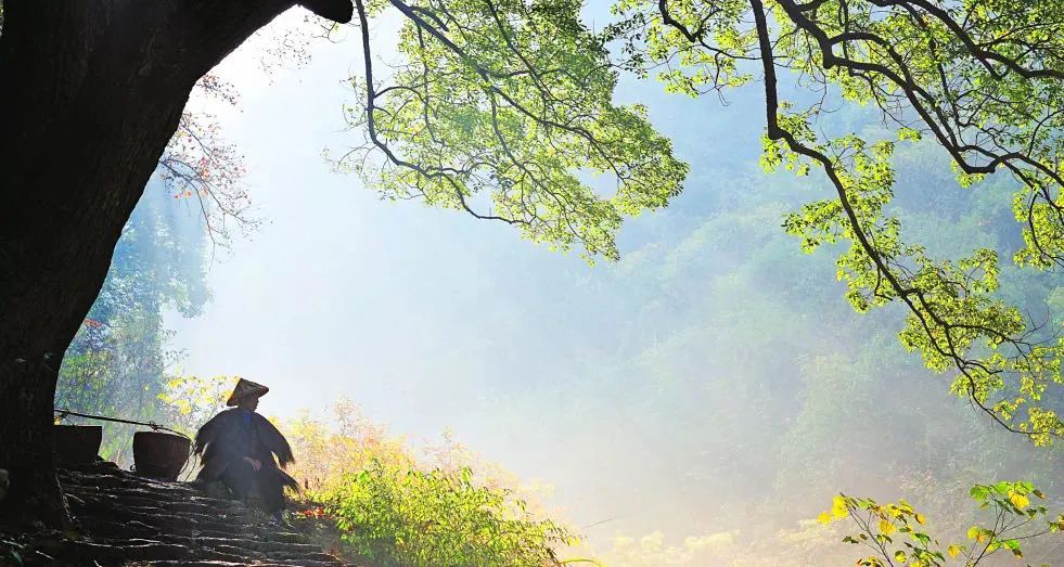 @诗画浙江文旅资讯