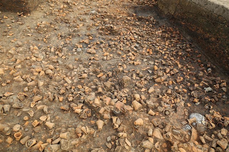 三房湾遗址里密密麻麻的红陶杯残件