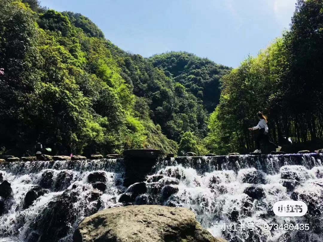 @陈小娜就是陈小娜