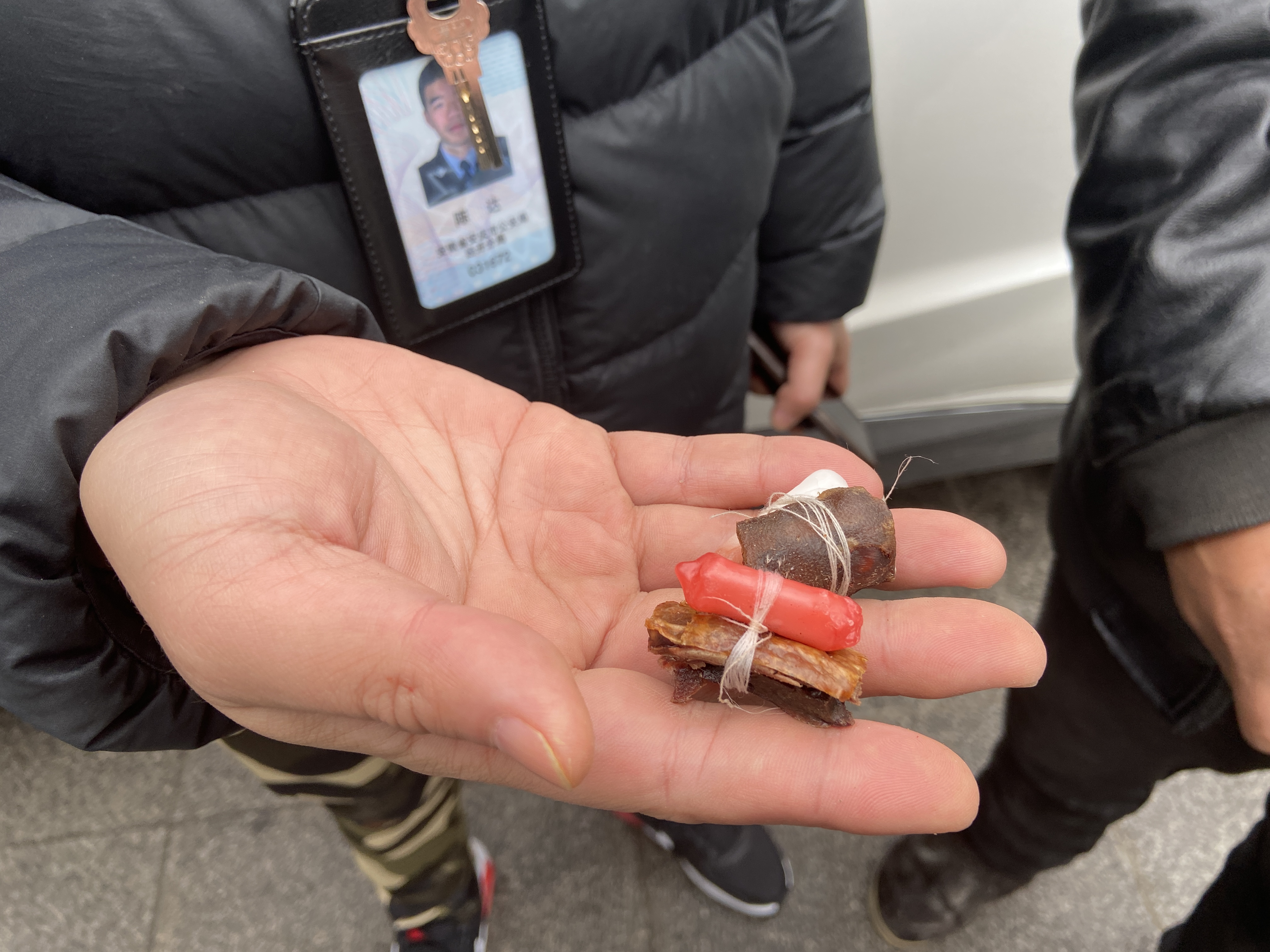 异地流窜用老鼠药毒狗偷狗安庆公安奔赴铜陵将其抓获