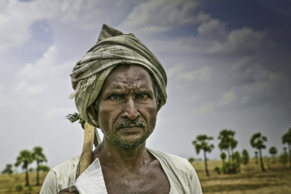 印度农民自杀问题在全球素有恶名，失去议价权的农民在大经销商摆布下，不但没挣到钱，还因亏损、负债而被夺去土地。