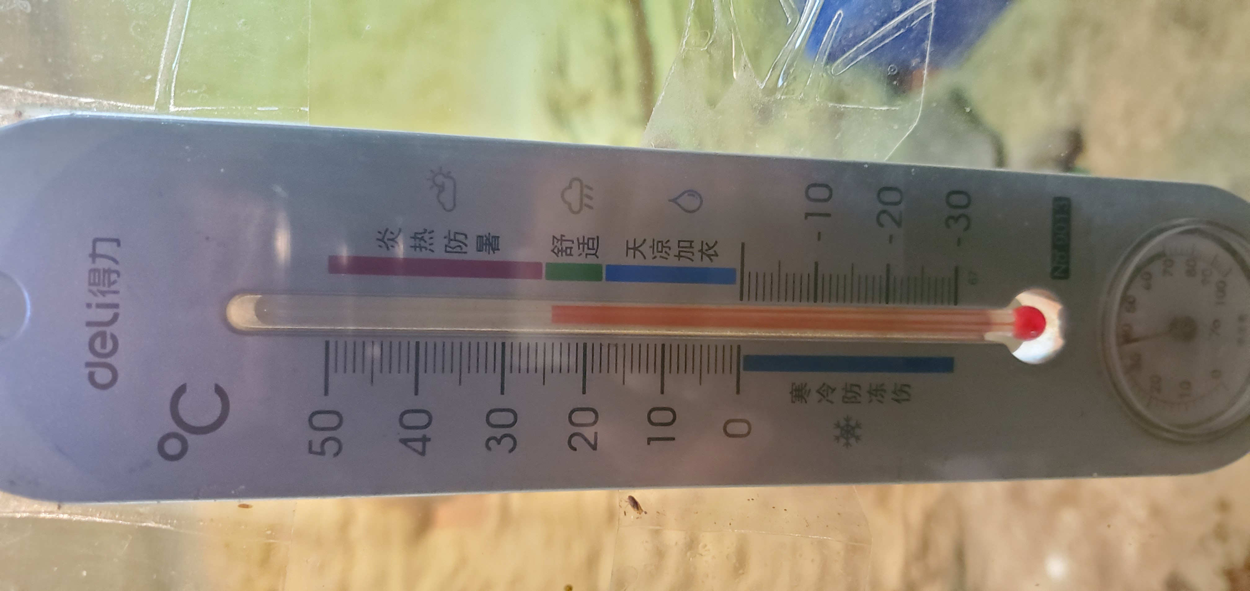 看青岛森林野生动物世界的动物们花样取暖，妙招多！