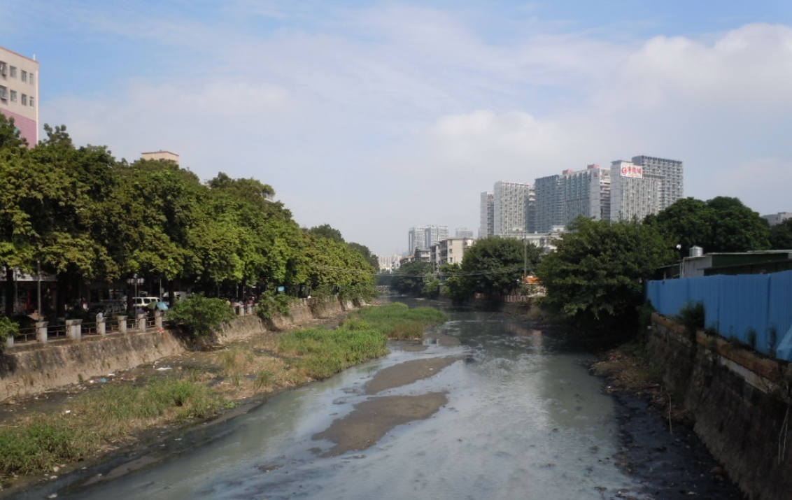 一河两岸西乡河解码（一）｜治水提质 渐还昔日水乡情