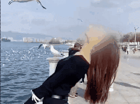 实拍：游客滇池边嘴叼面包喂红嘴鸥