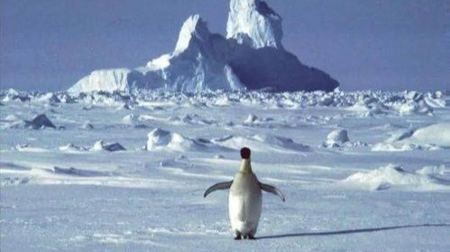 智利南极基地暴发疫情