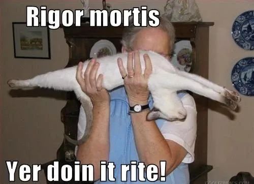 CA303593EE3962E904E30625EEA403028AD338FC_size30_w500_h362.jpg