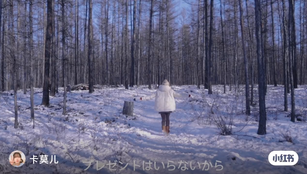 承包一整片雪地