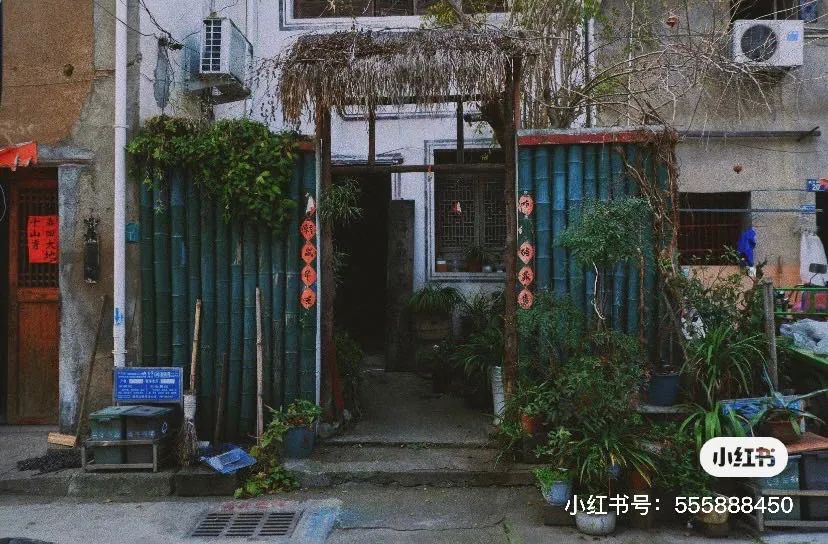 @奶油小pan