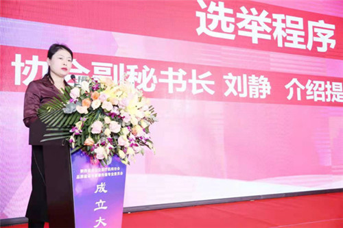 刘静宣读相关会议文件