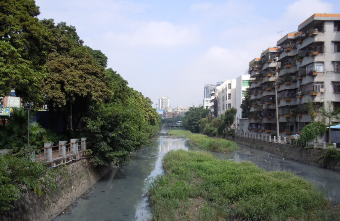 一河两岸西乡河解码（二）｜河道减负 拿下“拦路虎”