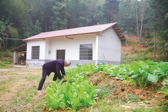 天冷风大，家住安沙镇鼎功村的张定帮却倍感温暖。今年5月，他告别了上世纪七十年代盖的土砖房，搬进了崭新的砖房，并在房屋旁边种上了蔬菜，生活过得越来越好。章帝 摄