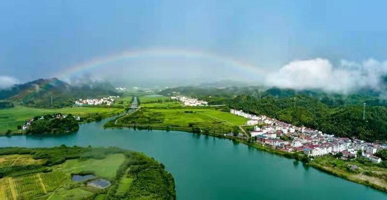 九江武宁县清江乡：党建引领振兴路 村企联营开新局