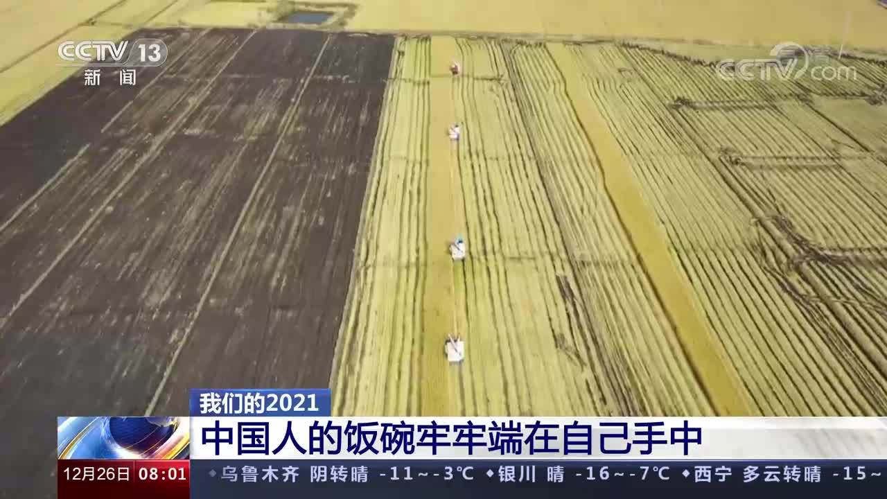 我们的2021 中国人的饭碗牢牢端在自己手中