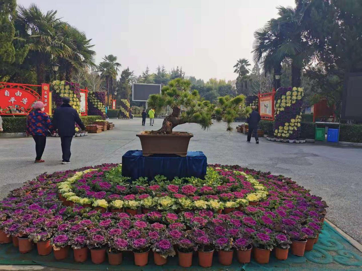 漯河人民公园"花海 "秀 元旦"靓装"迎宾朋