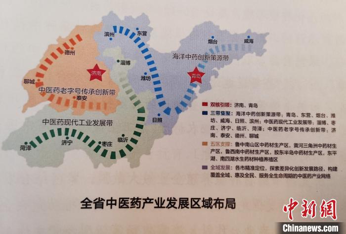 山东中医药产业发展区域布局. 赵晓 摄