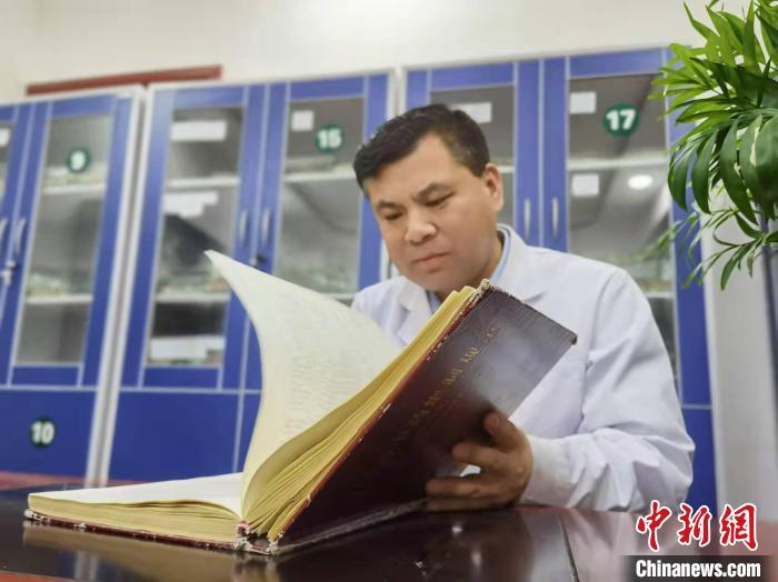 图为张良翻阅做旧了的《甘肃省中药炮制规范》。 张婧 摄