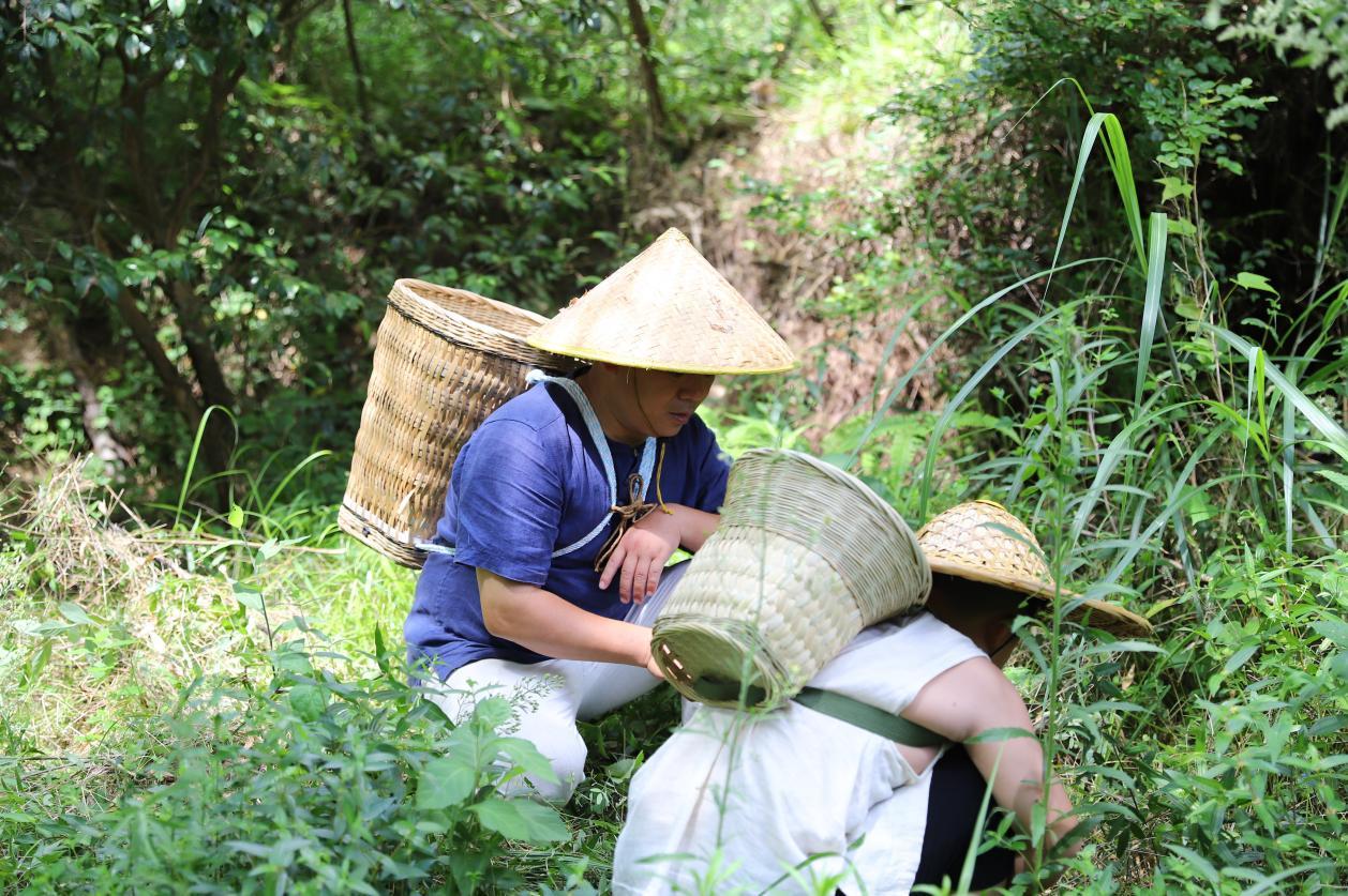 赣州“非遗”之客家药浴：先辈们亲近自然的智慧生活表达