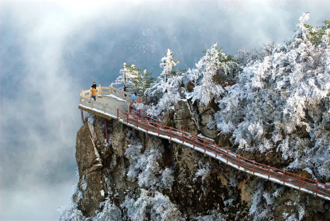 河南人游河南平顶山市冬季旅游产品发布
