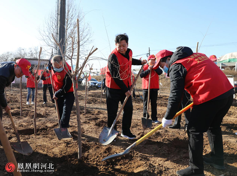 高邑县四大班子领导参加志愿者冬季植树活动 供图：高邑融媒