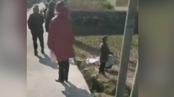 女子骑摩托跌落田地身亡，知情人：网传强风刮倒所致不可信