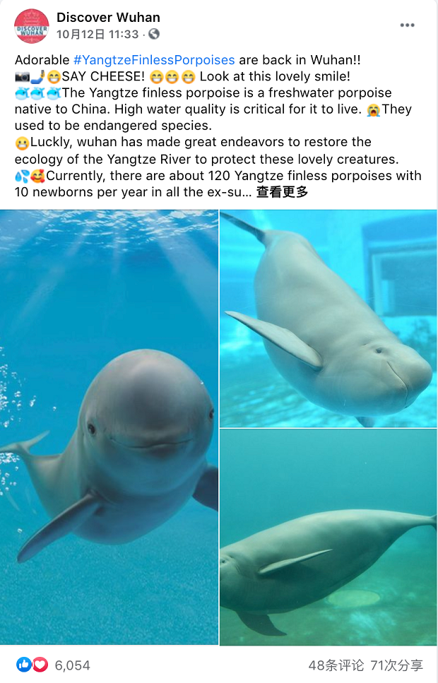 海外朋友圈里 这些武汉元素火了