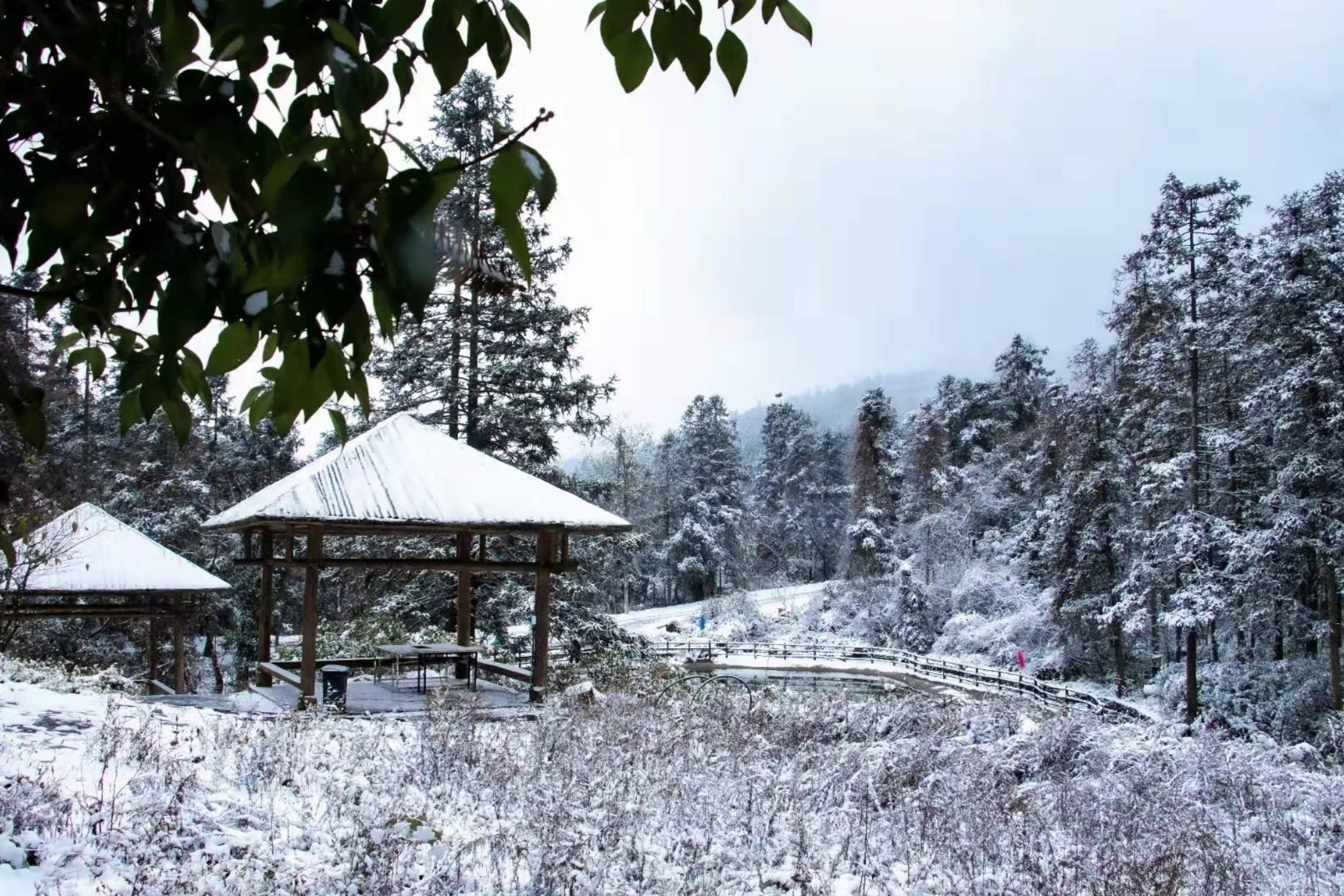 下雪了彭水摩围山景区迎来今冬第一场雪