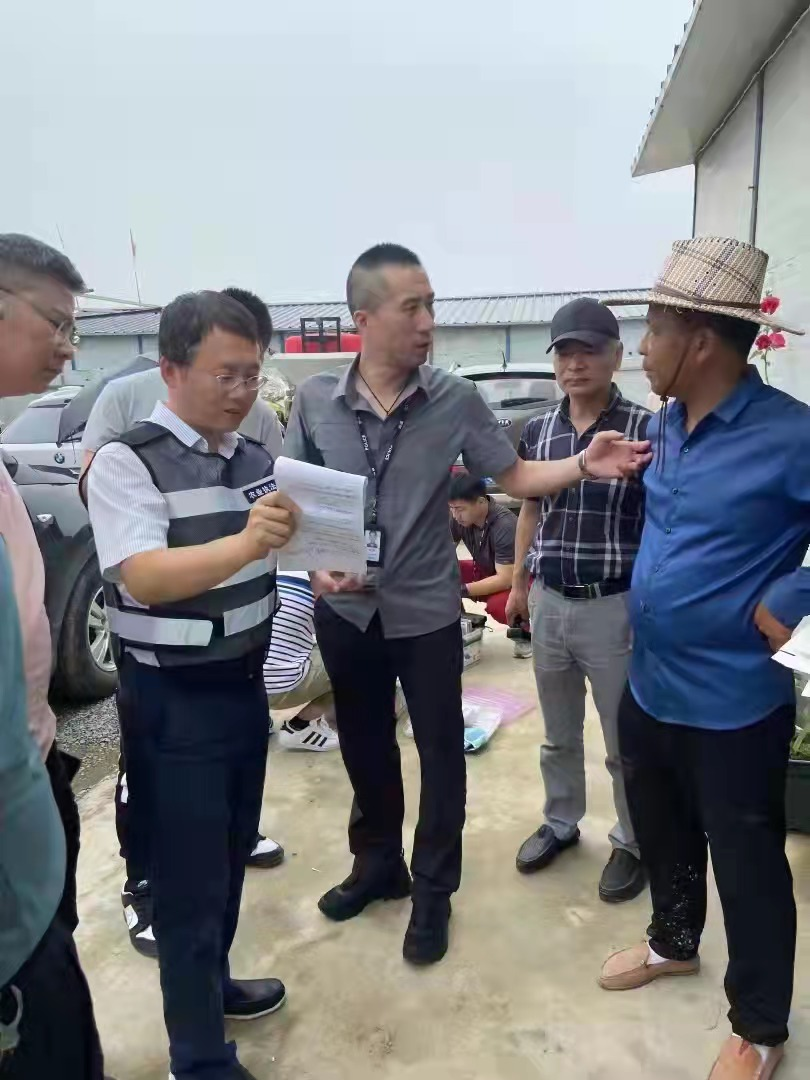 农业“芯片”知识产权第一案   “甬优” 种子的诱惑