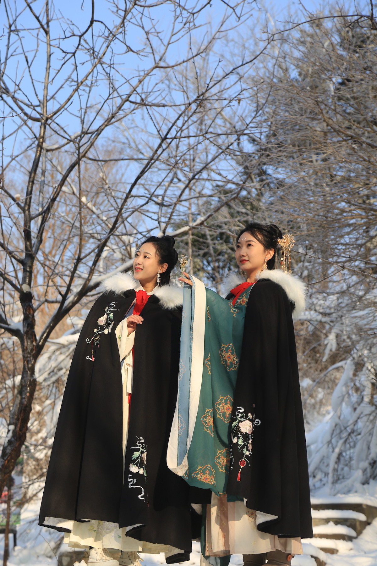 开启冰雪狂欢！青岛森林野生动物世界 趣&middot;探索 冰雪乐园闪亮登场