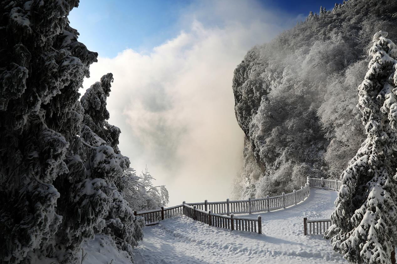 重庆彭水九黎集团党员先锋突击队为摩围山景区除冰雪保畅通