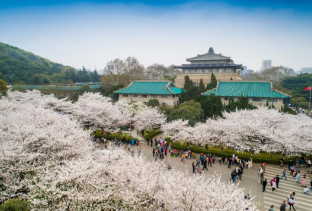海外朋友圈里 这些武汉元素火了