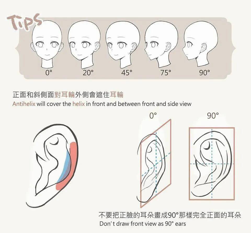 怎么画动漫人物的耳朵耳朵绘画参考教程