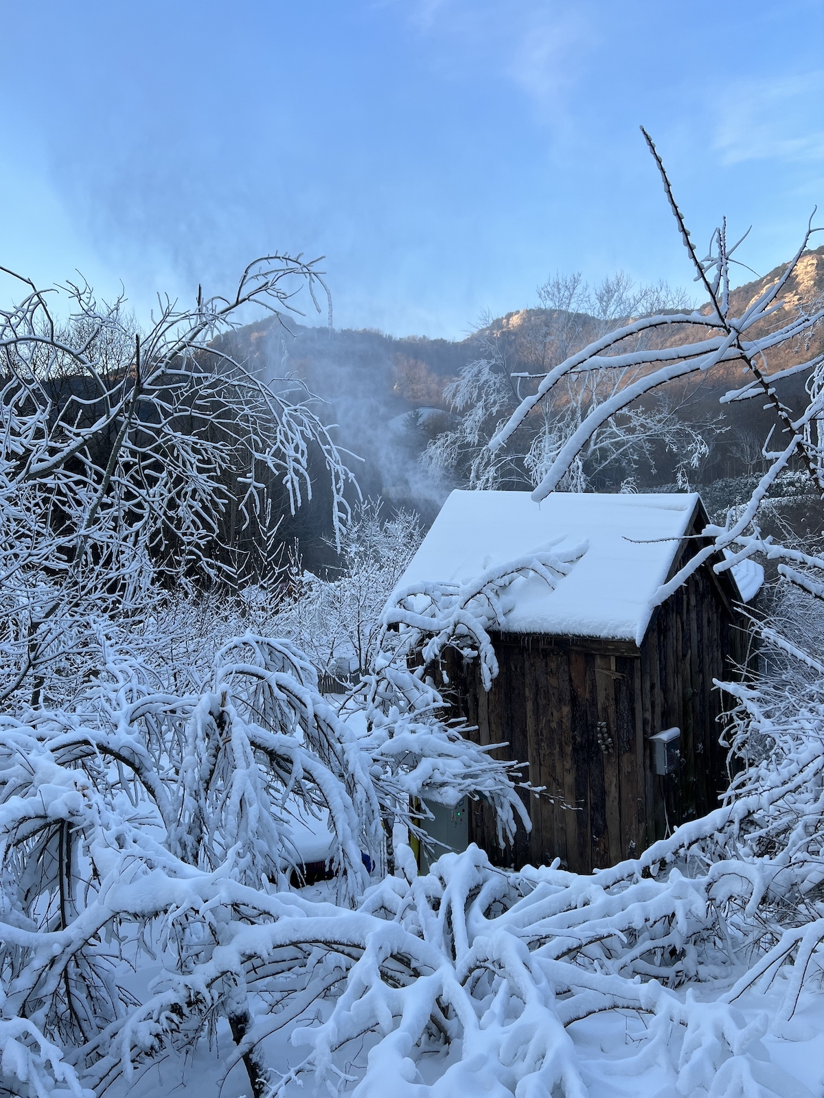 开启冰雪狂欢！青岛森林野生动物世界 趣&middot;探索 冰雪乐园闪亮登场