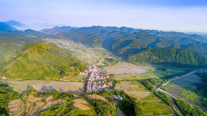 九江武宁县清江乡：党建引领振兴路 村企联营开新局