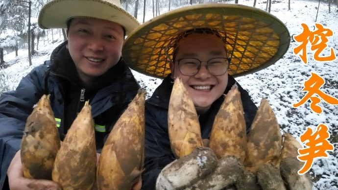 学习4招挖笋技巧，兄弟3人挑战雪地挖冬笋，最后是开心还是忧伤？