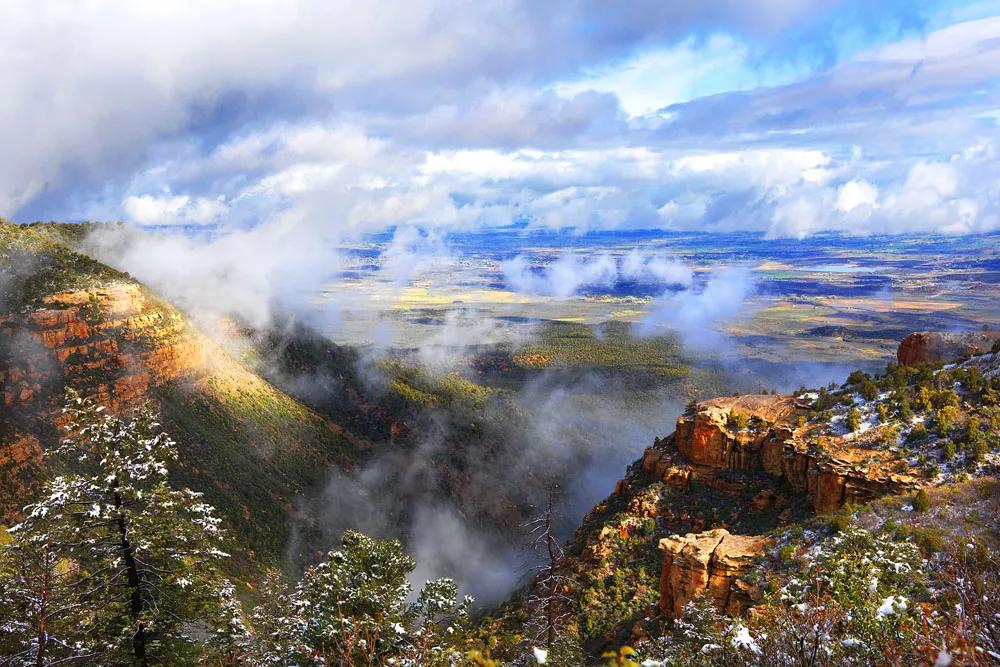 五月的雪(美国)