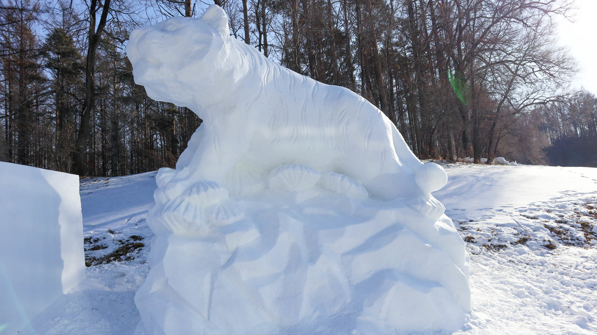 净月“雪世界”主雪雕揭开神秘面纱！